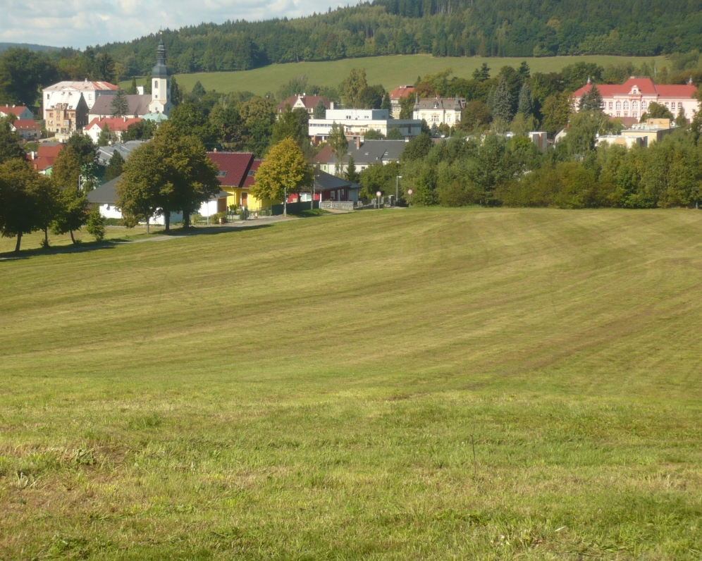 Komerční pozemek 44.500 m2 v těsné blízkosti centra města Velký Šenov u Rumburka - Prodáno za cenu 1.000.000 Kč